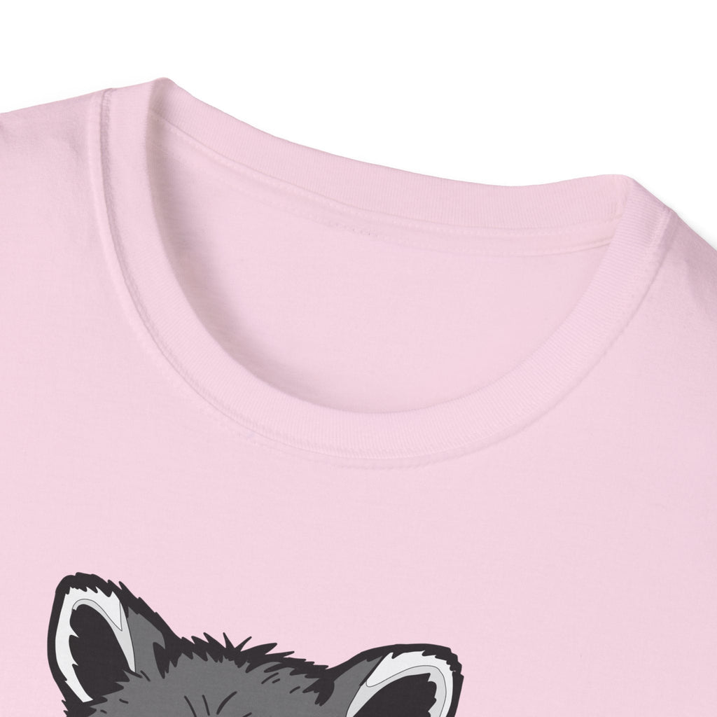 Raccoon- I Feel Fluffy