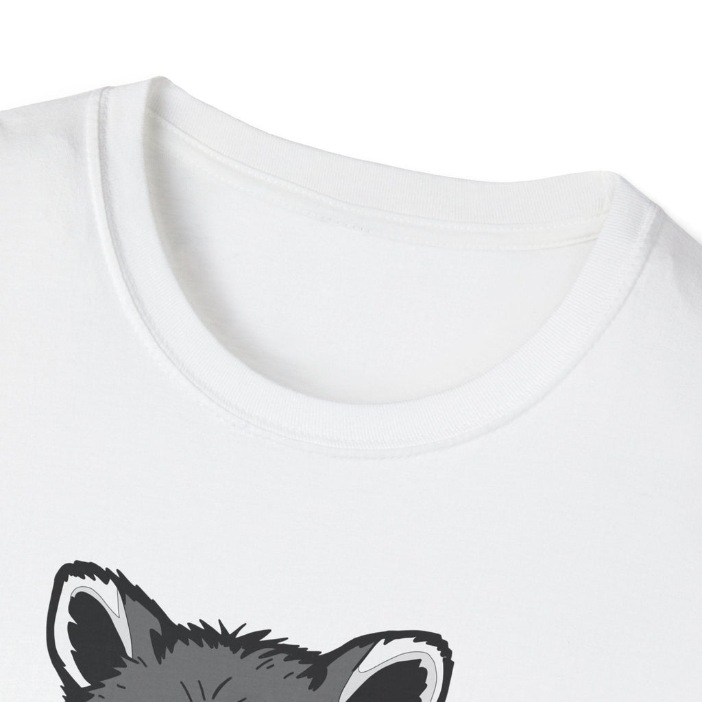 Raccoon- I Feel Fluffy