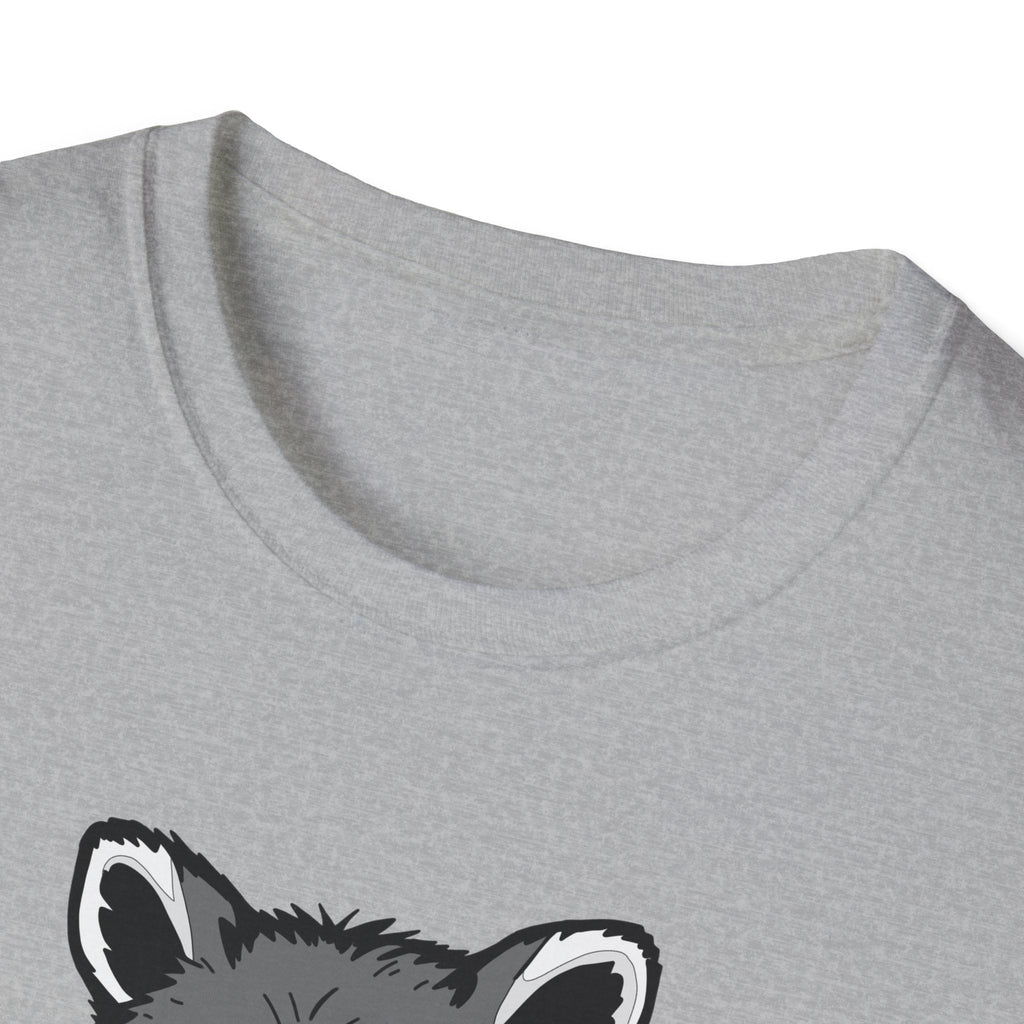 Raccoon- I Feel Fluffy