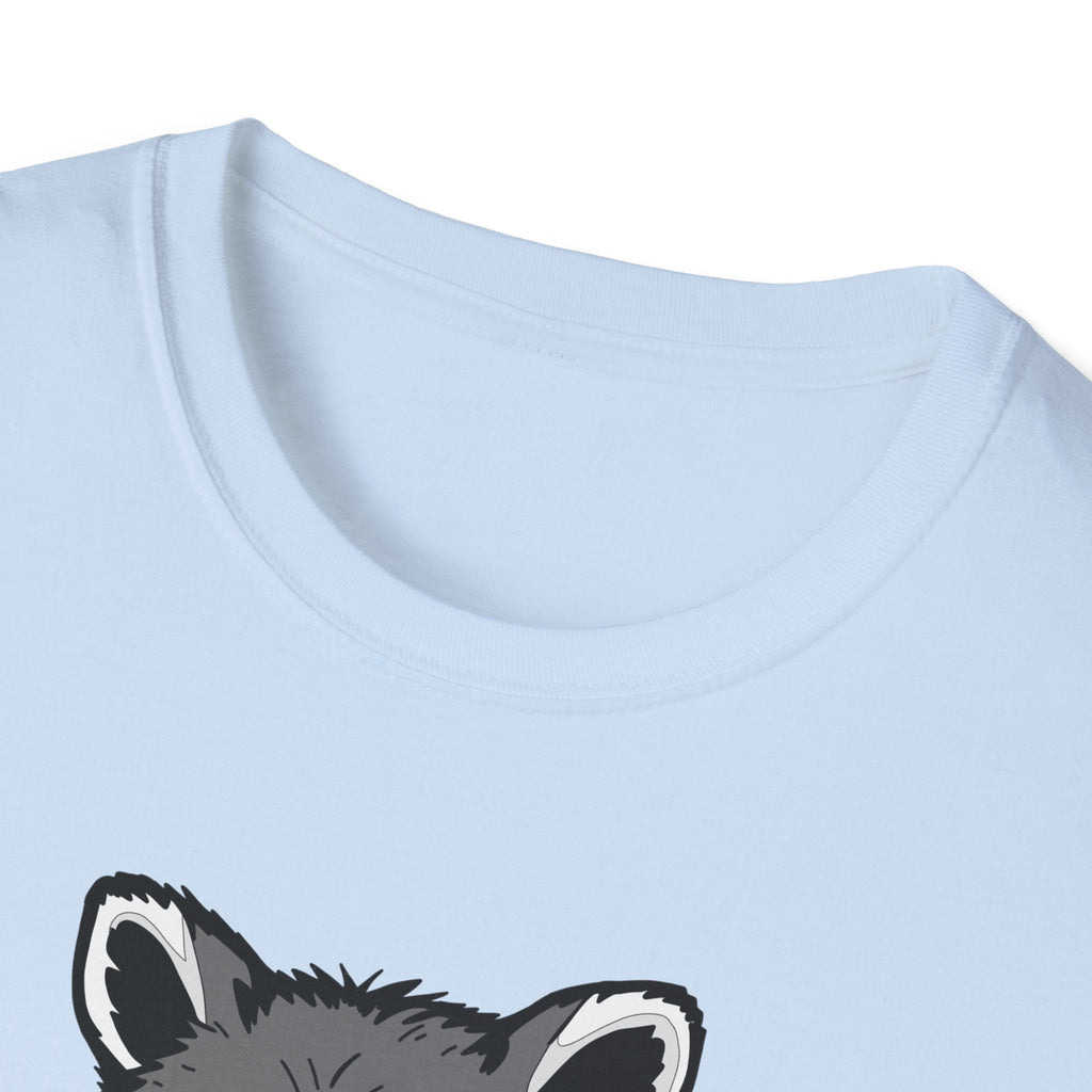 Raccoon- I Feel Fluffy